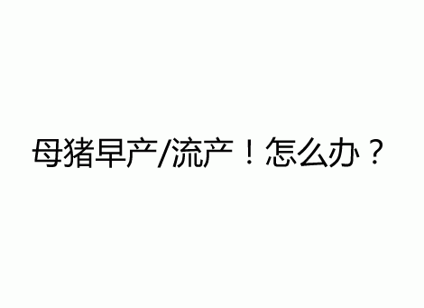 母猪流产怎么办？母猪流产早产的原因与母猪流产后的护理